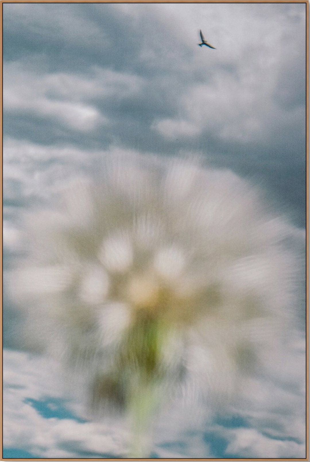 Gideon Tsang’s blurred and distorted work is nature photography as you’ve never seen it before
