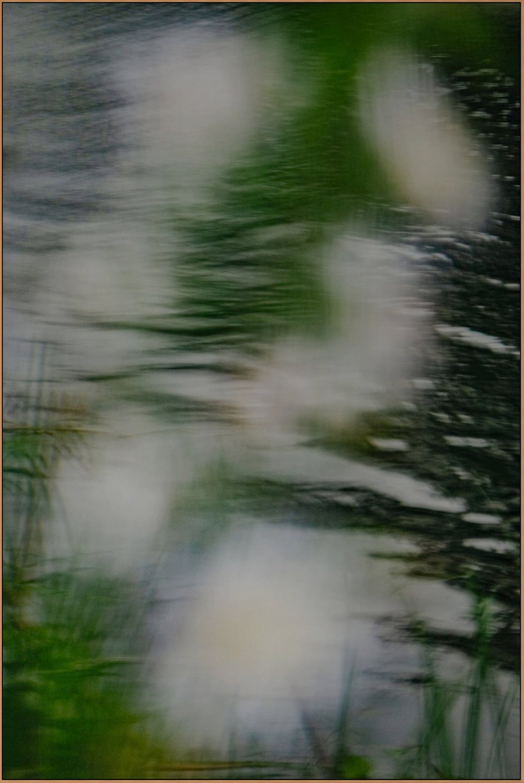 gideon-tsang-photography-itsnicethat-B_c-We-Fall-XIV.jpg
