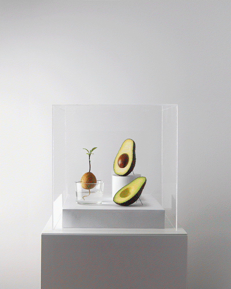 03-SustainableDesign-CulinaryCulture.gif