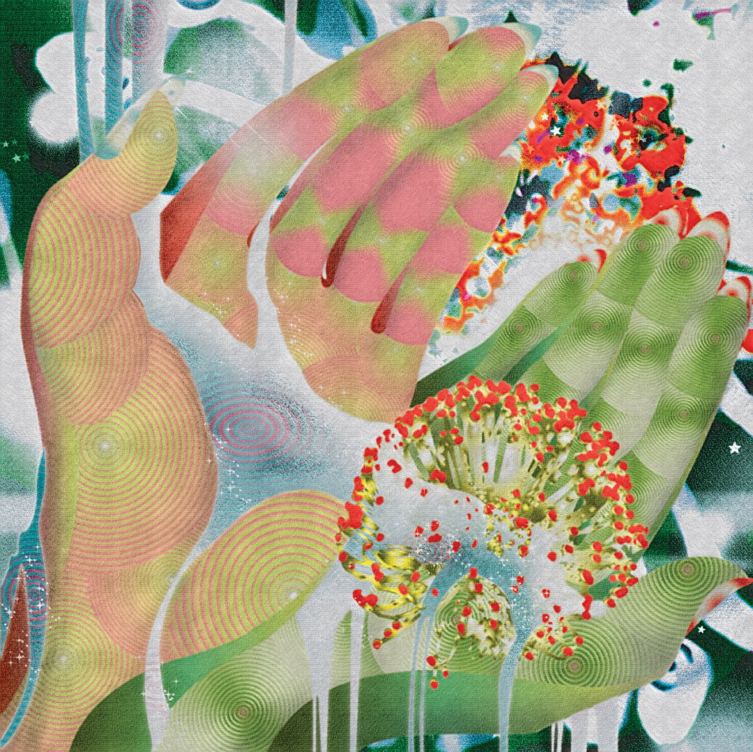 firpal-illo-itsnicethat06