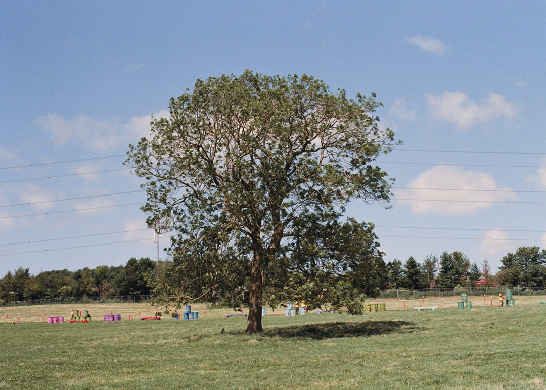 glastonbury bins charlie sheppard rosanna webster art itsnicethat 1.jpg