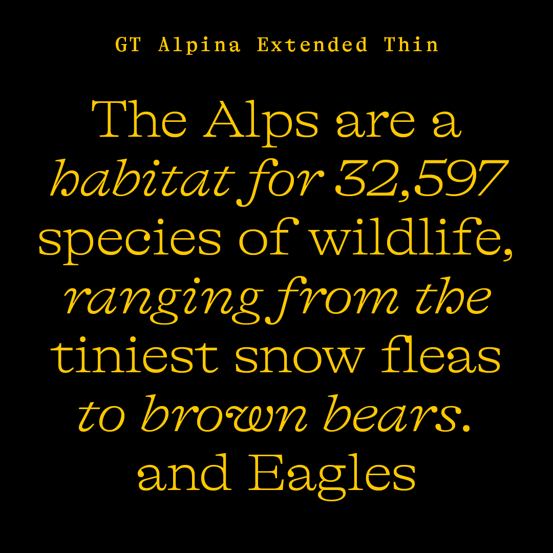 grilli-type-gt-alpina-work-graphic-design-itsnicethat-15.png