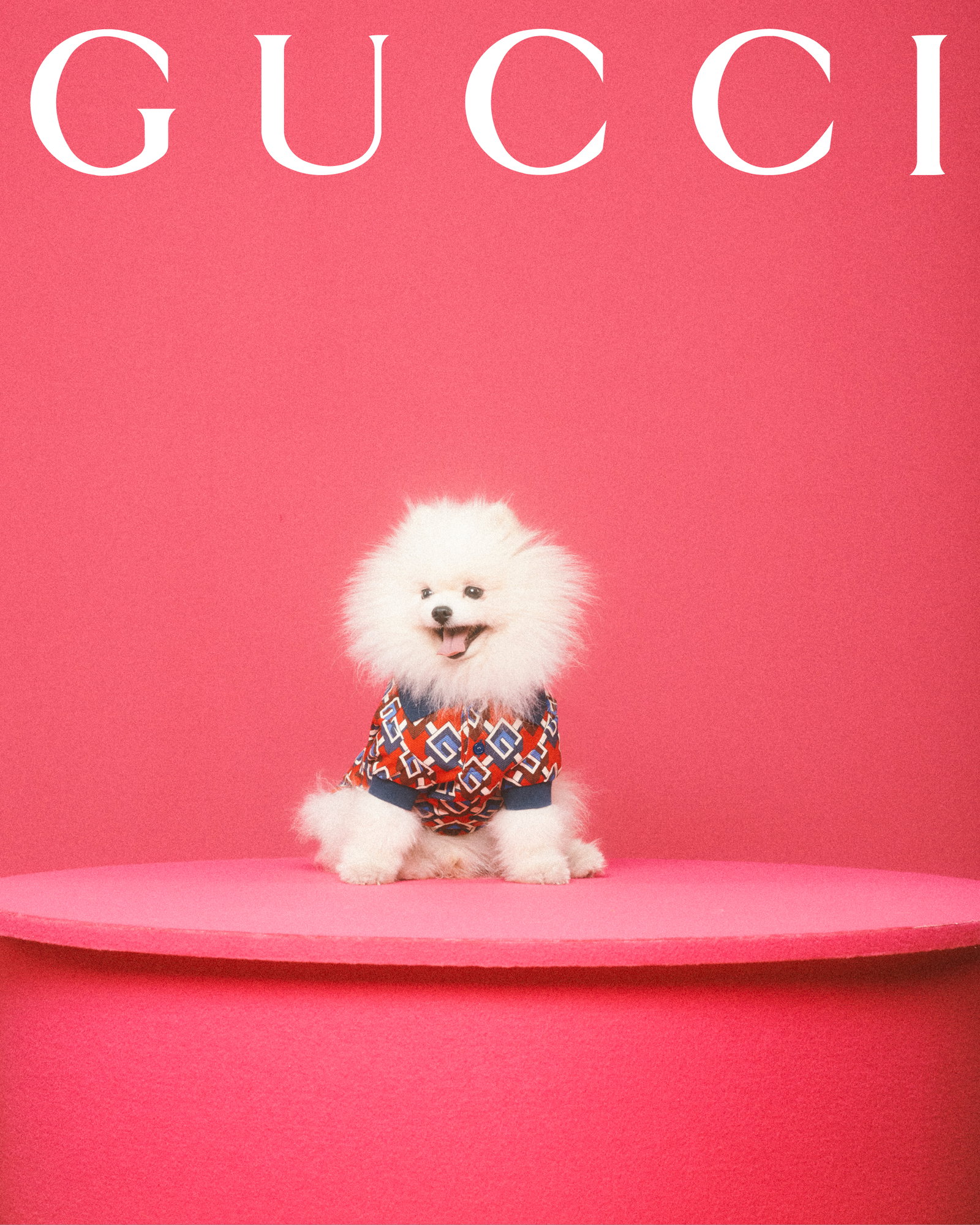 Gucci for pets lands with adorable portraits from Max Siedentopf