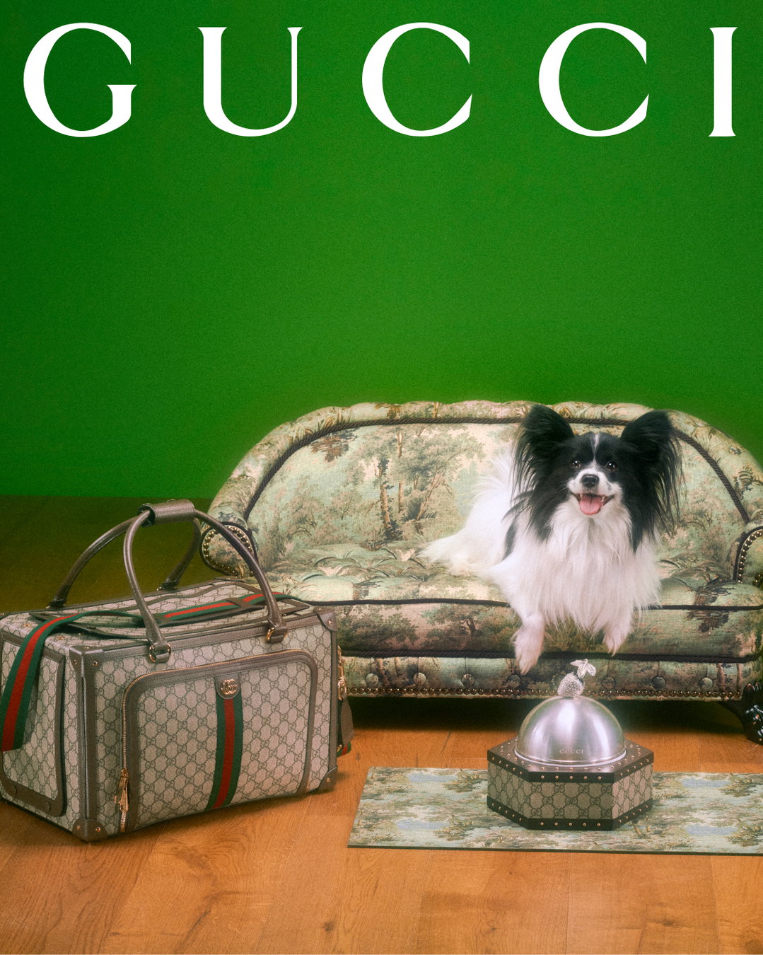 gucci-gucci-pets-photography-itsnicethat50.jpg