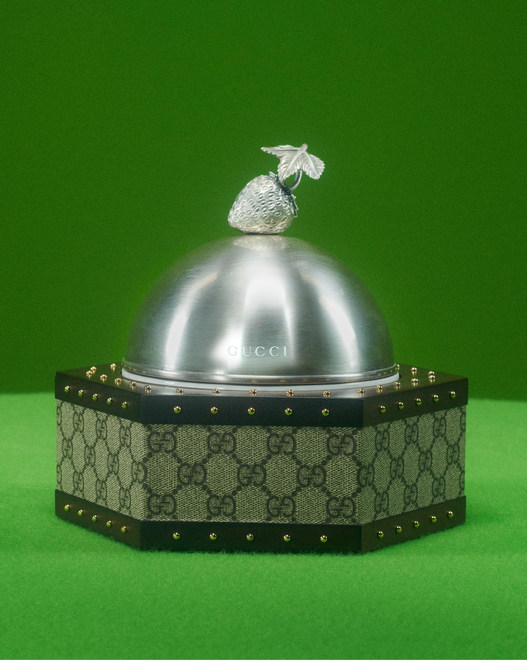 gucci-pets-photography-itsnicethat30.jpg
