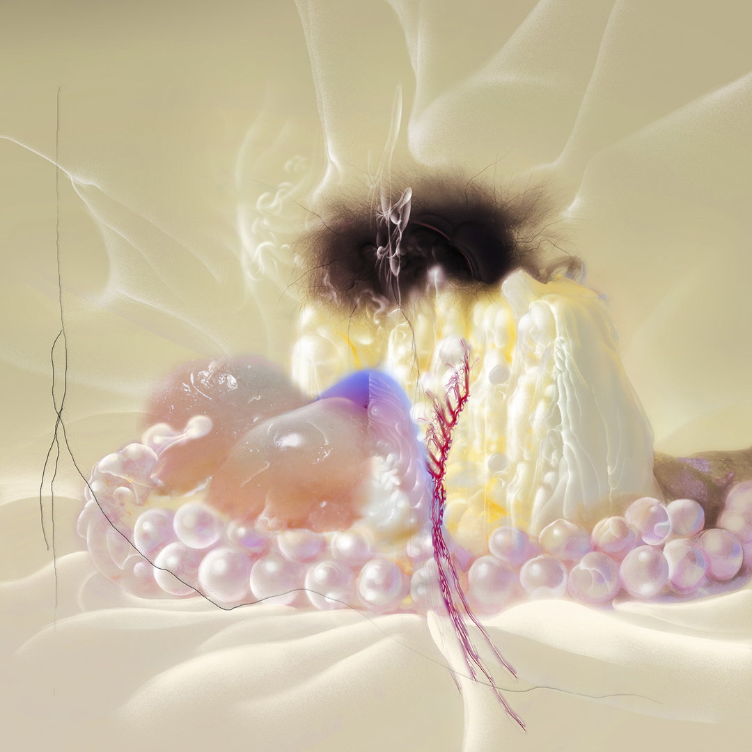 hairball cake_50_50cm_photorag_RS.jpg