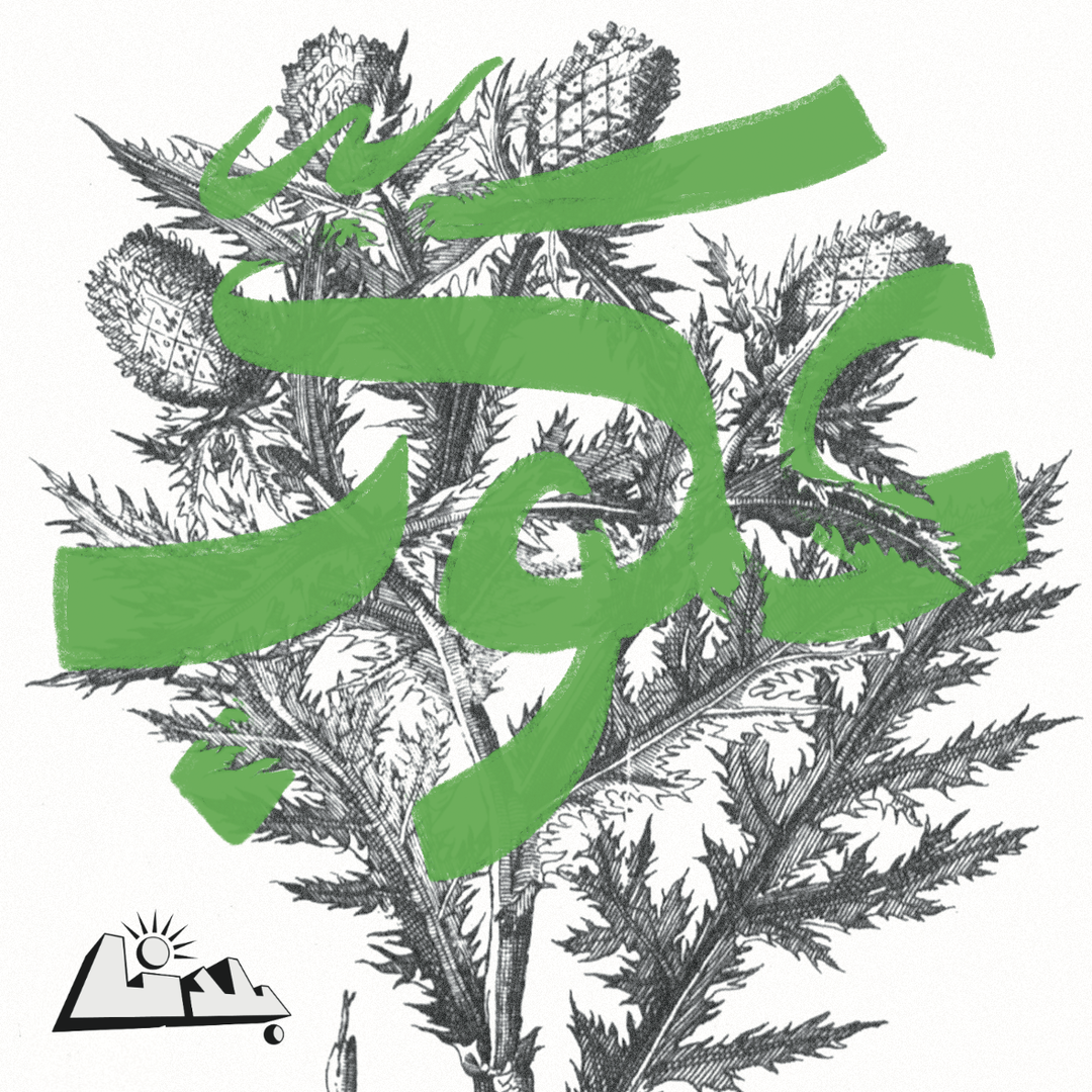 haitham-haddad-IMG_1713.PNG