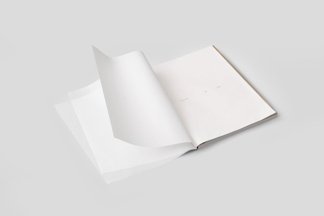 han-gao-work-graphic-design-itsnicethat-09.JPG