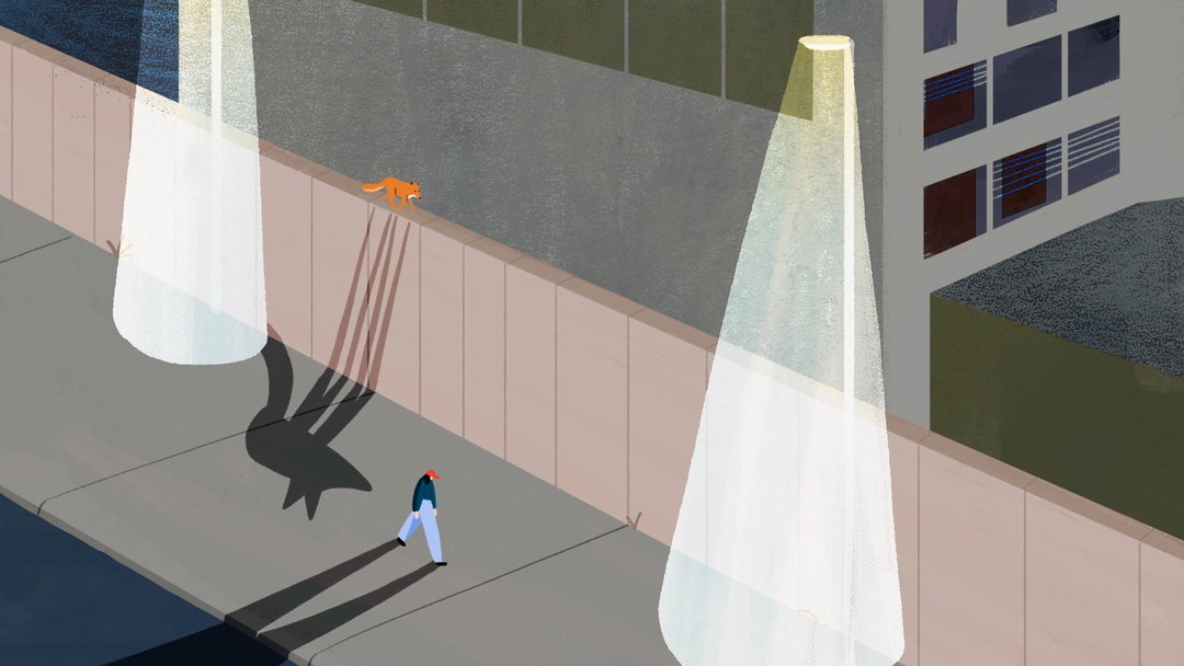 hannah-jacobs-harriet-gillian-animation-itsnicethat-01.jpg
