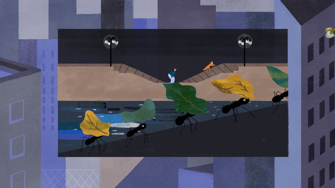 hannah-jacobs-harriet-gillian-animation-itsnicethat-03.jpg