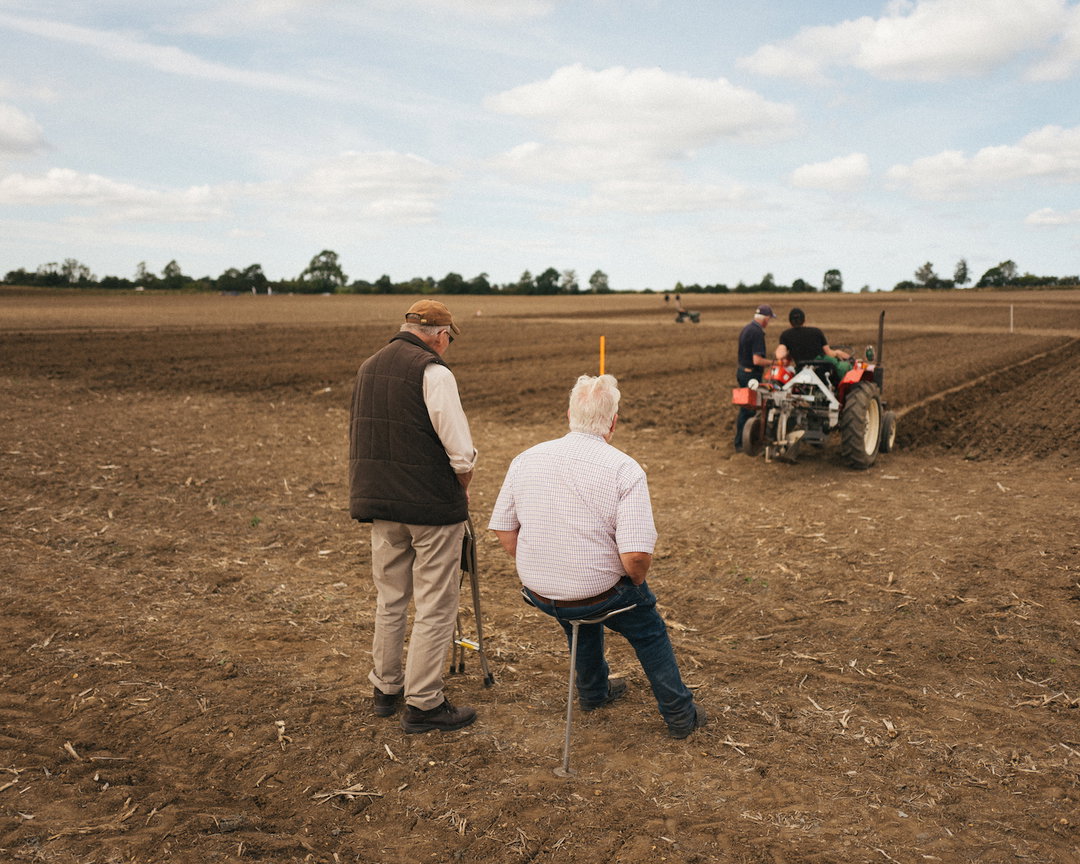 harry-hall-the-sow-must-go-on-photography-itsnicethat-05.jpg