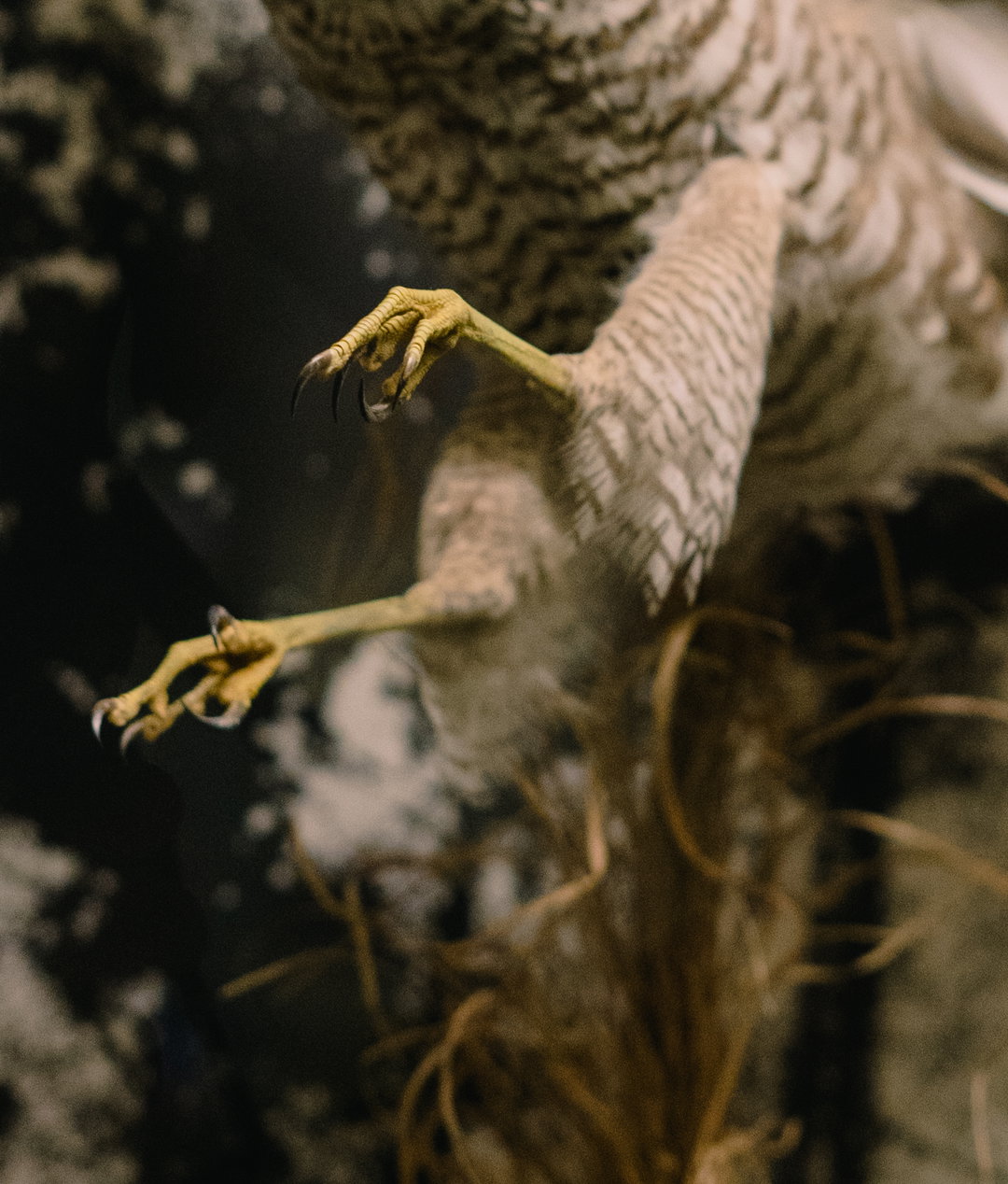 harry-rose-tales-from-the-road-photography-itsnicethat-13.jpg