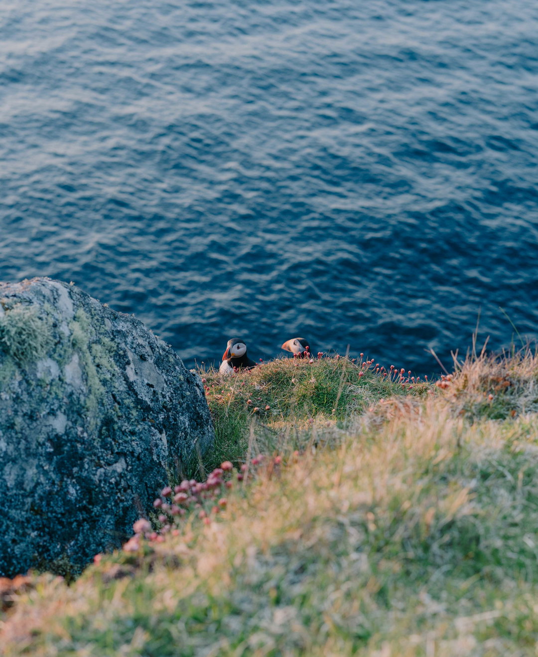 harry-rose-tales-from-the-road-photography-itsnicethat-2.jpg