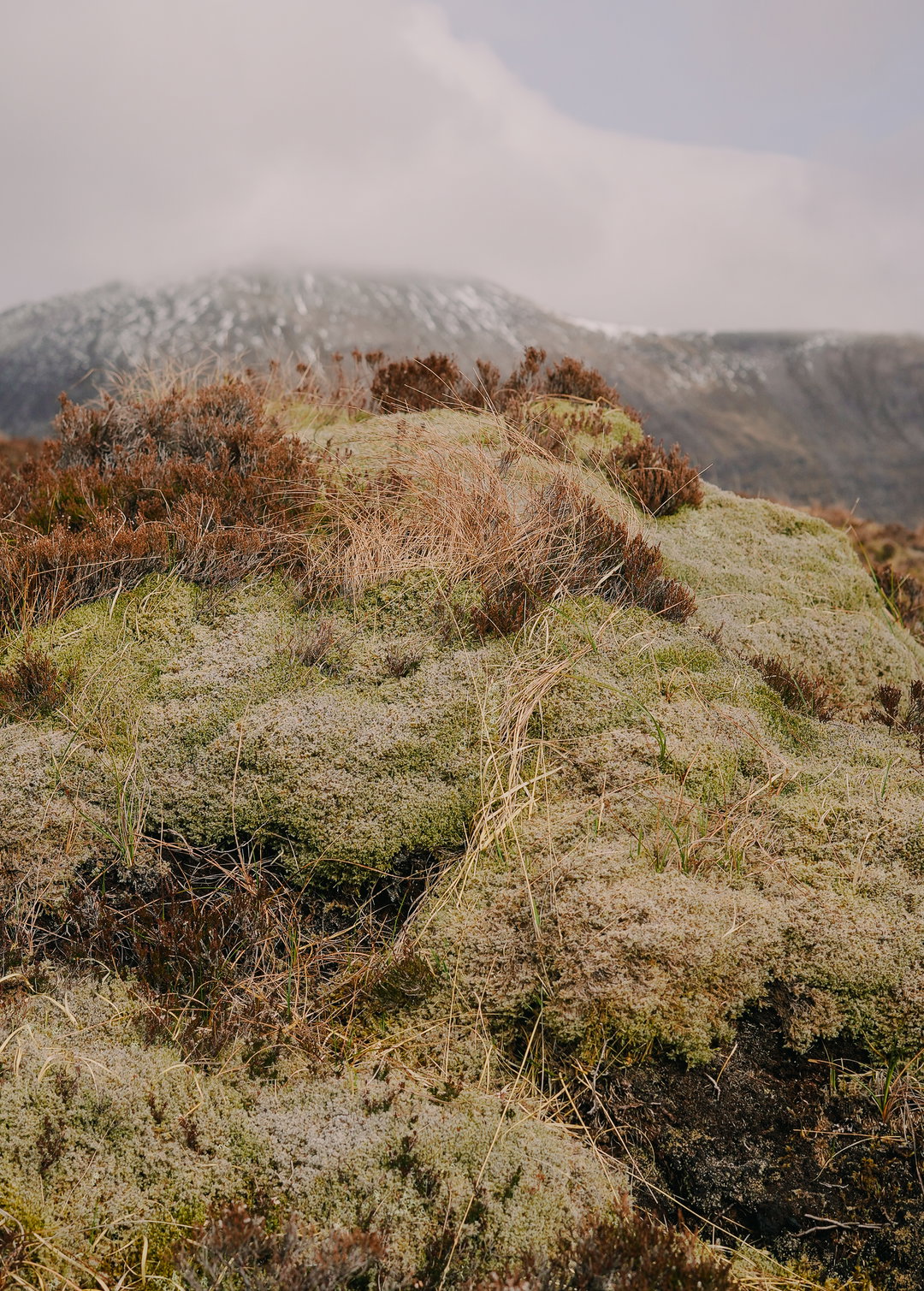 harry-rose-tales-from-the-road-photography-itsnicethat-8.jpg
