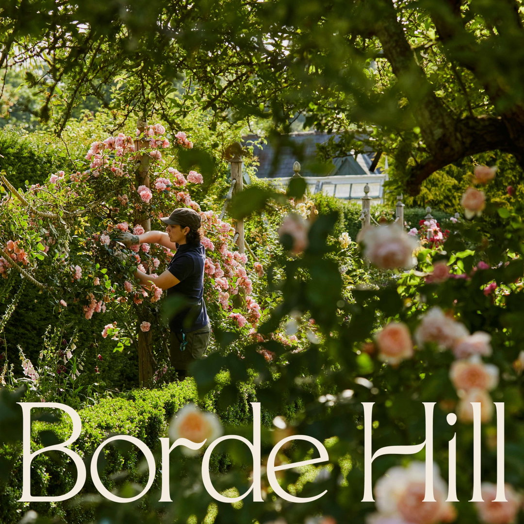 here-borde-hill-graphic-design-itsnicethat-01.jpg