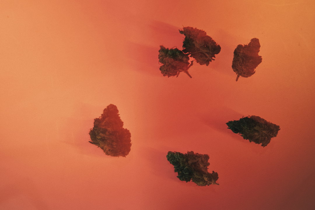 high-tide-bloom-graphic-design-itsnicethat-2.jpg