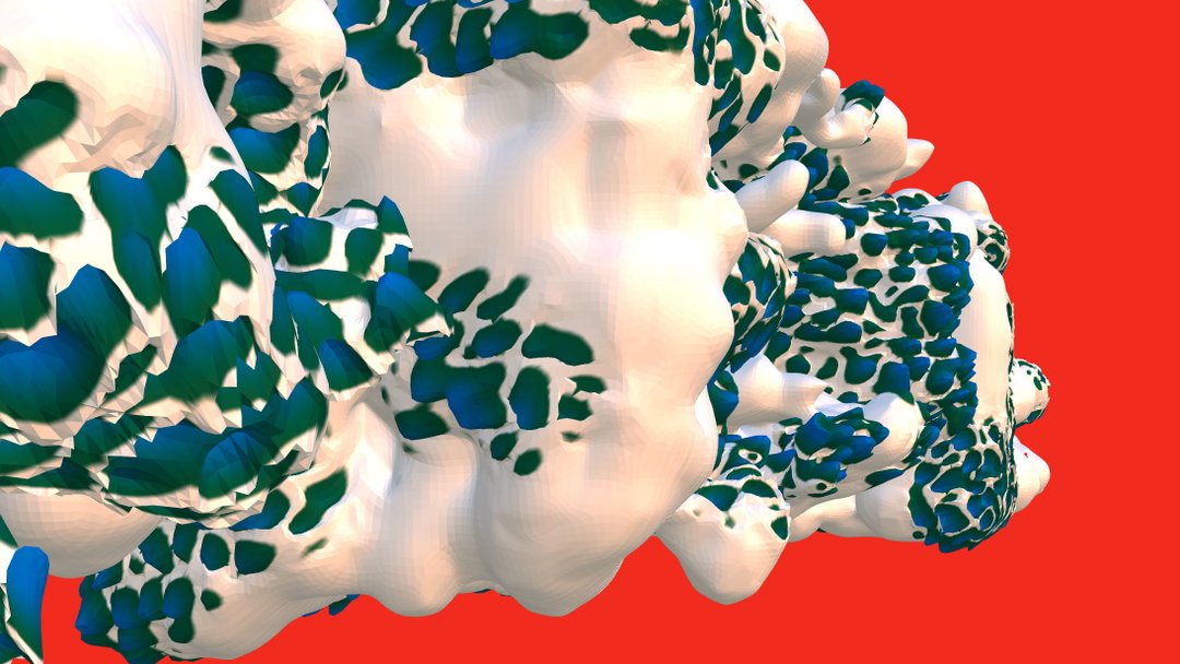 hypha-1603461582341.jpg