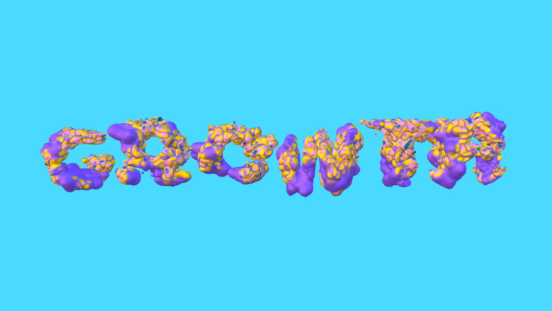 hypha-1603469503017.jpg