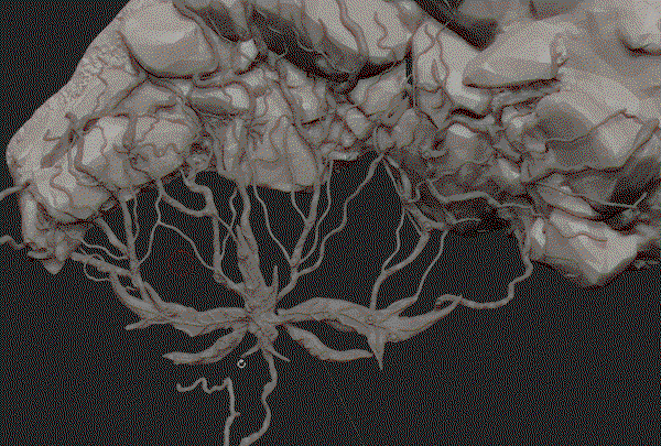 ida-lissner-process-2.gif