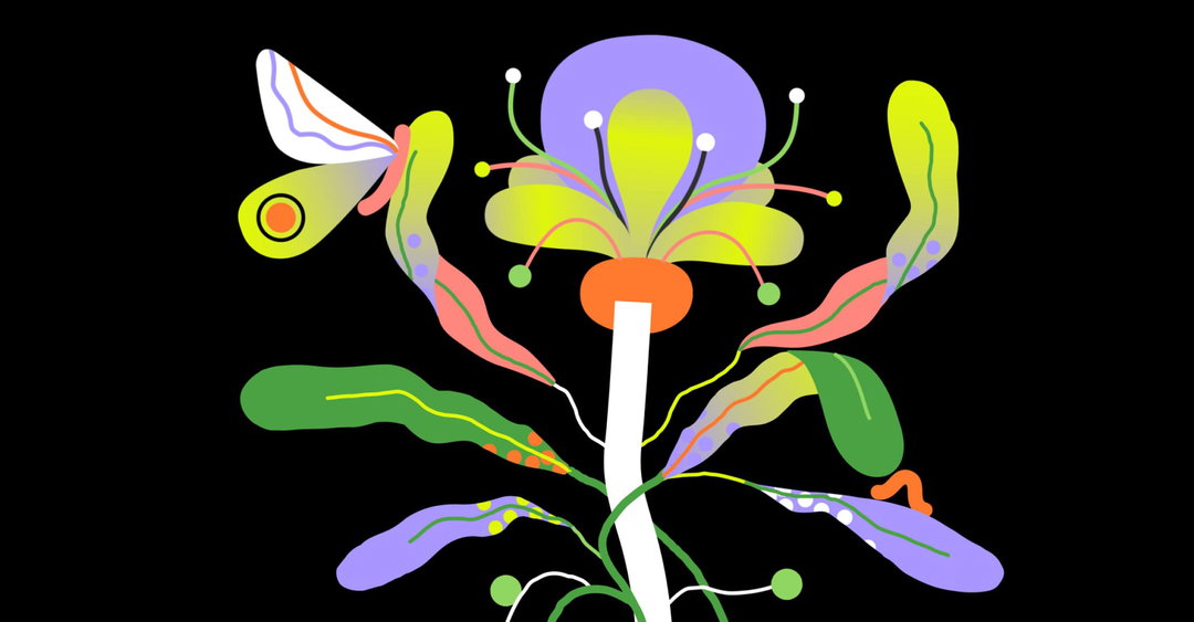 illo-the-nature-conservancy-motion-series-film-animation-itsnicethat-04.jpg