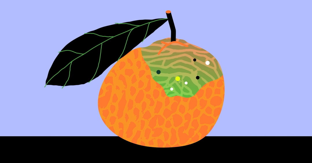 illo-the-nature-conservancy-motion-series-film-animation-itsnicethat-05.jpg