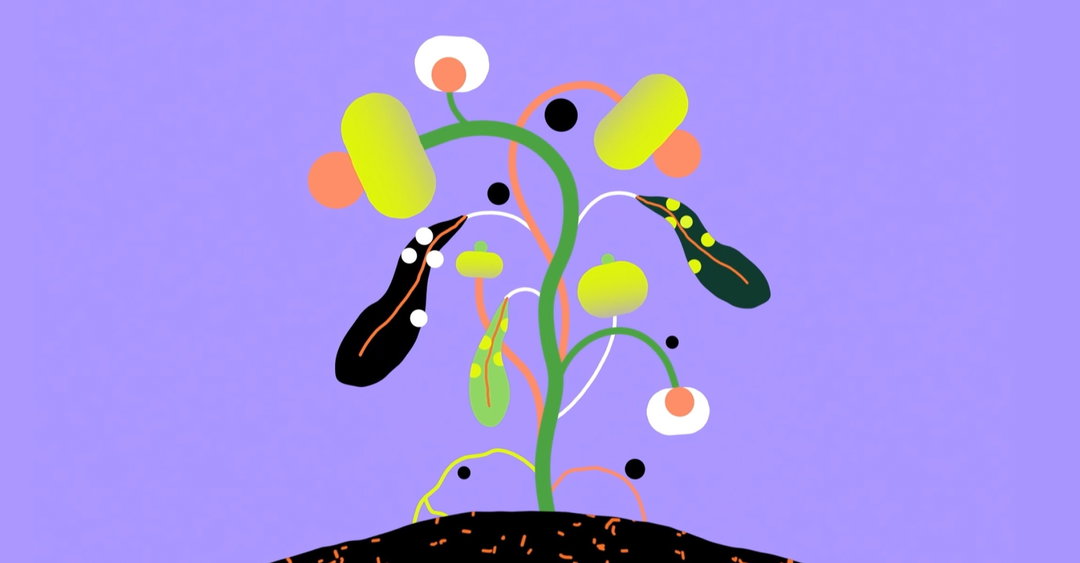 illo-the-nature-conservancy-motion-series-film-animation-itsnicethat-07.jpg