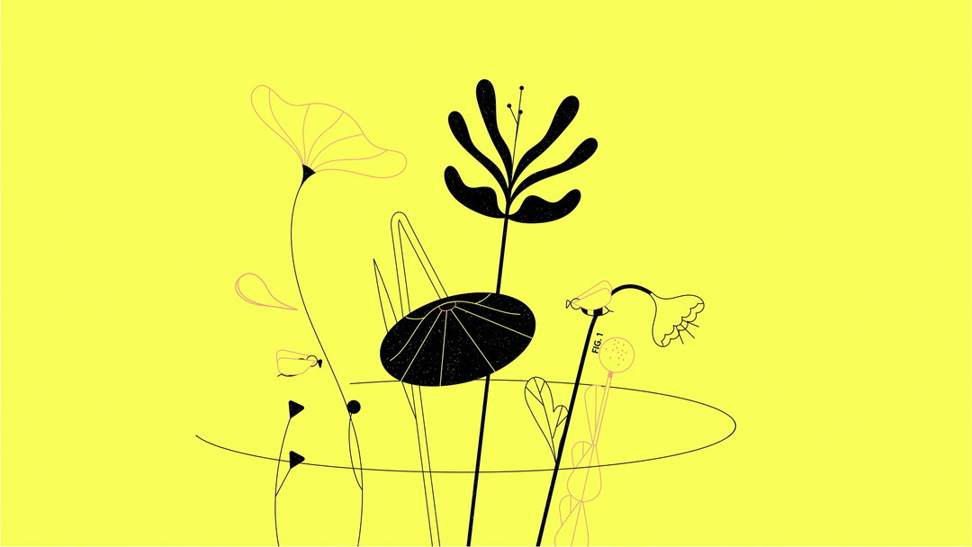 illo-the-nature-conservancy-motion-series-film-animation-itsnicethat-12.jpg