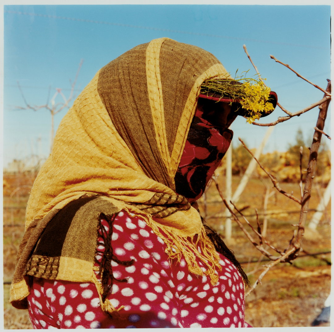 ilyes-griyeb-morocco-work-photography-itsnicethat-5.jpg