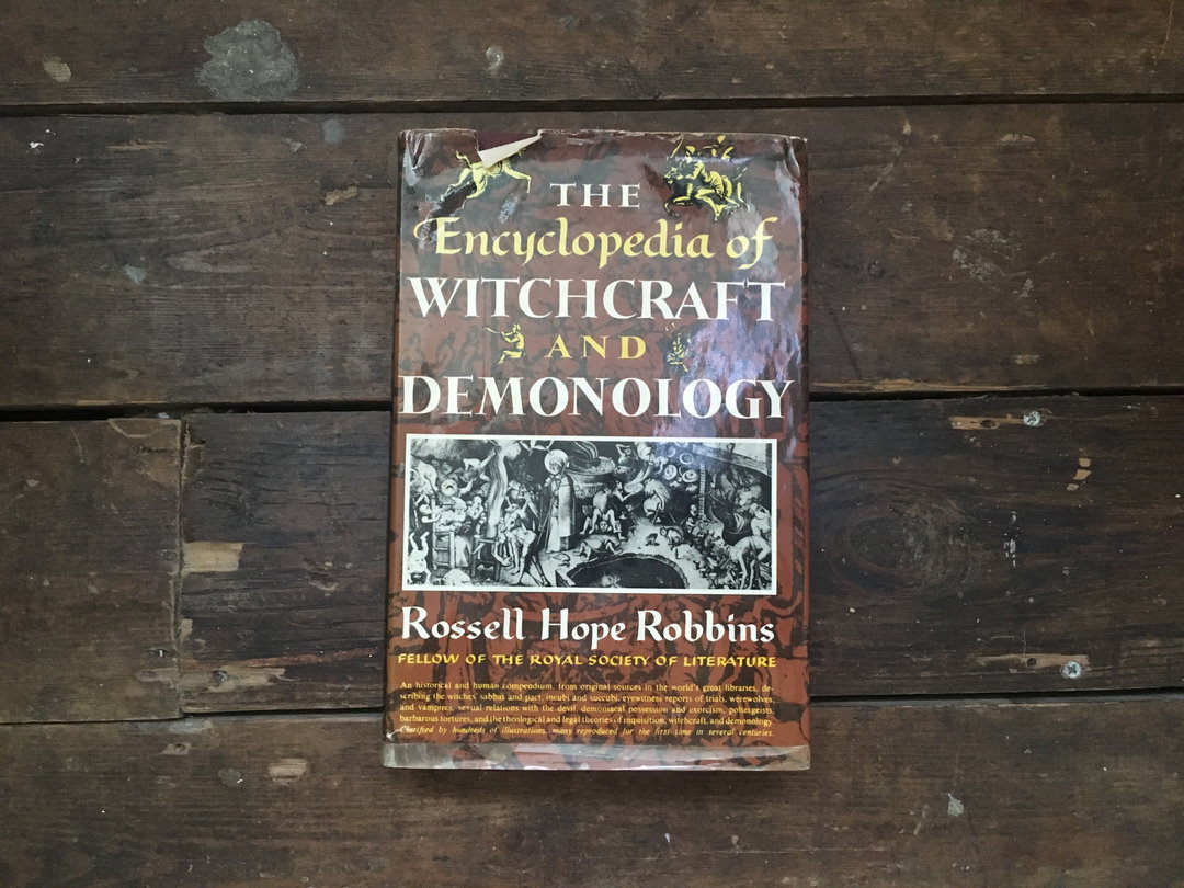 Ami-Evelyn-Hughes-bookshelf-witchcraft-4