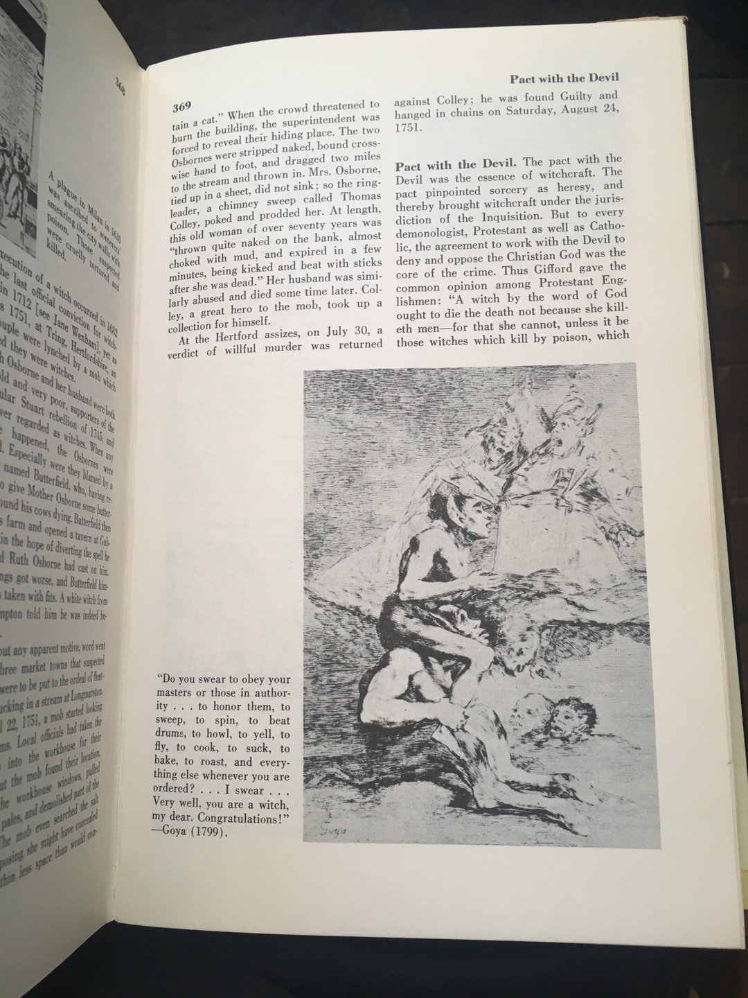 Ami-Evelyn-Hughes-bookshelf-witchcraft-2