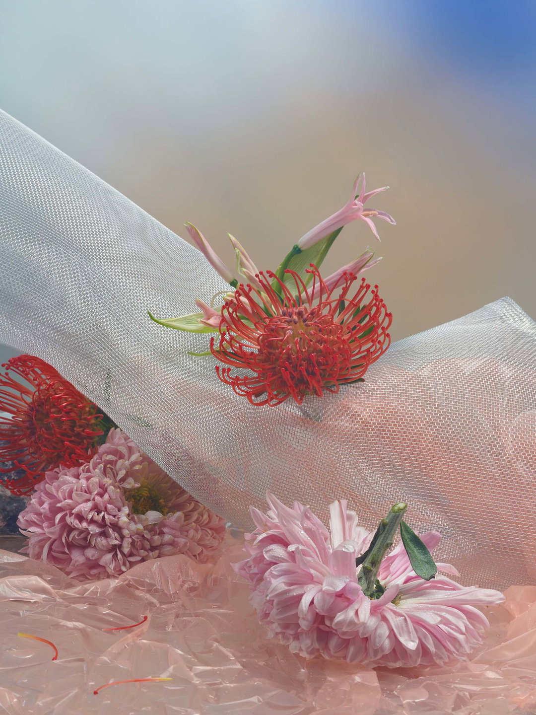 imogen-frost-set-design-itsnicethat-8.jpg