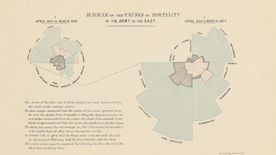 information graphic visionaries publication itsnicethat CauseOfMortality-Nightingale-IGVandWellcomeCollection.jpeg
