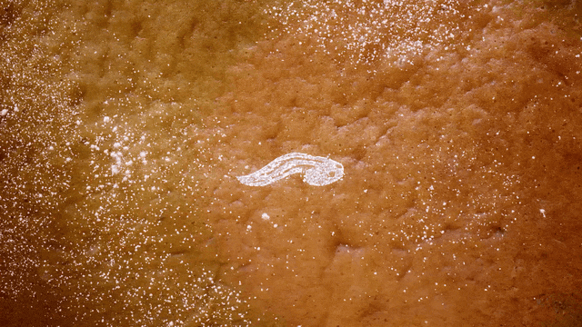 isabel-garett-ani-itsnicethat3.gif