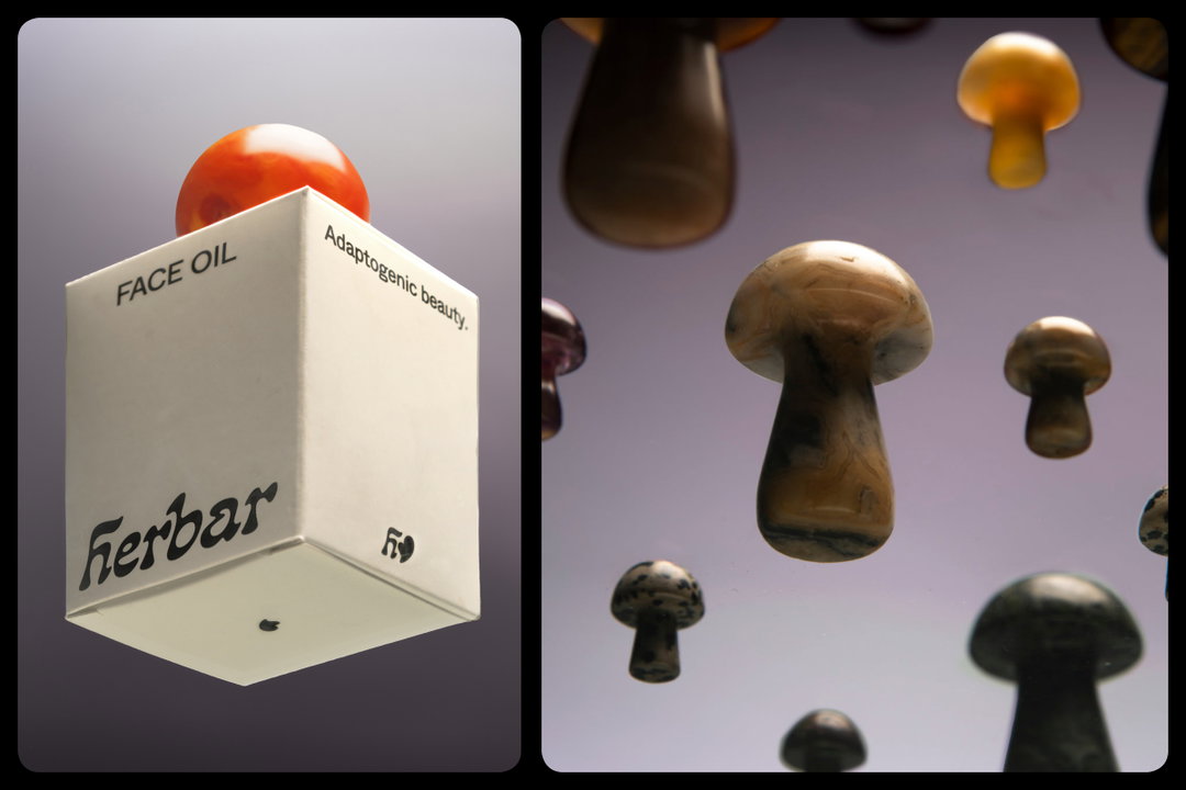 itsnicethat-EliseRigollet_Herbar_05.jpg