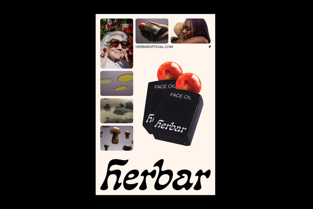 itsnicethat-EliseRigollet_Herbar_10.jpg