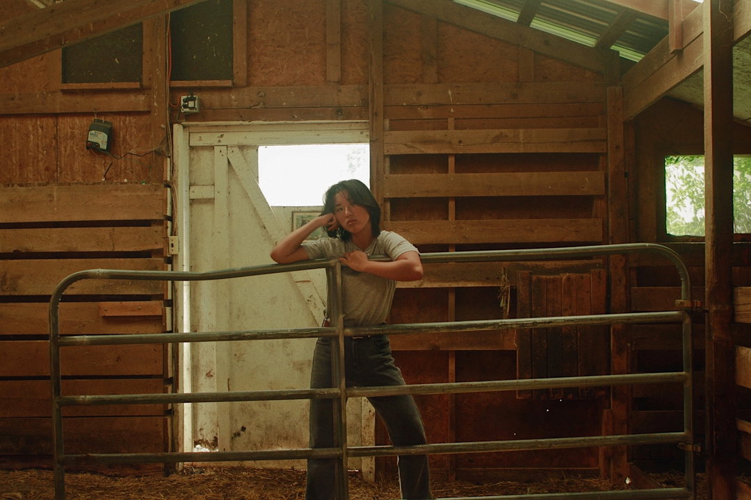 itsnicethat-Horsing-leo-xander.jpg