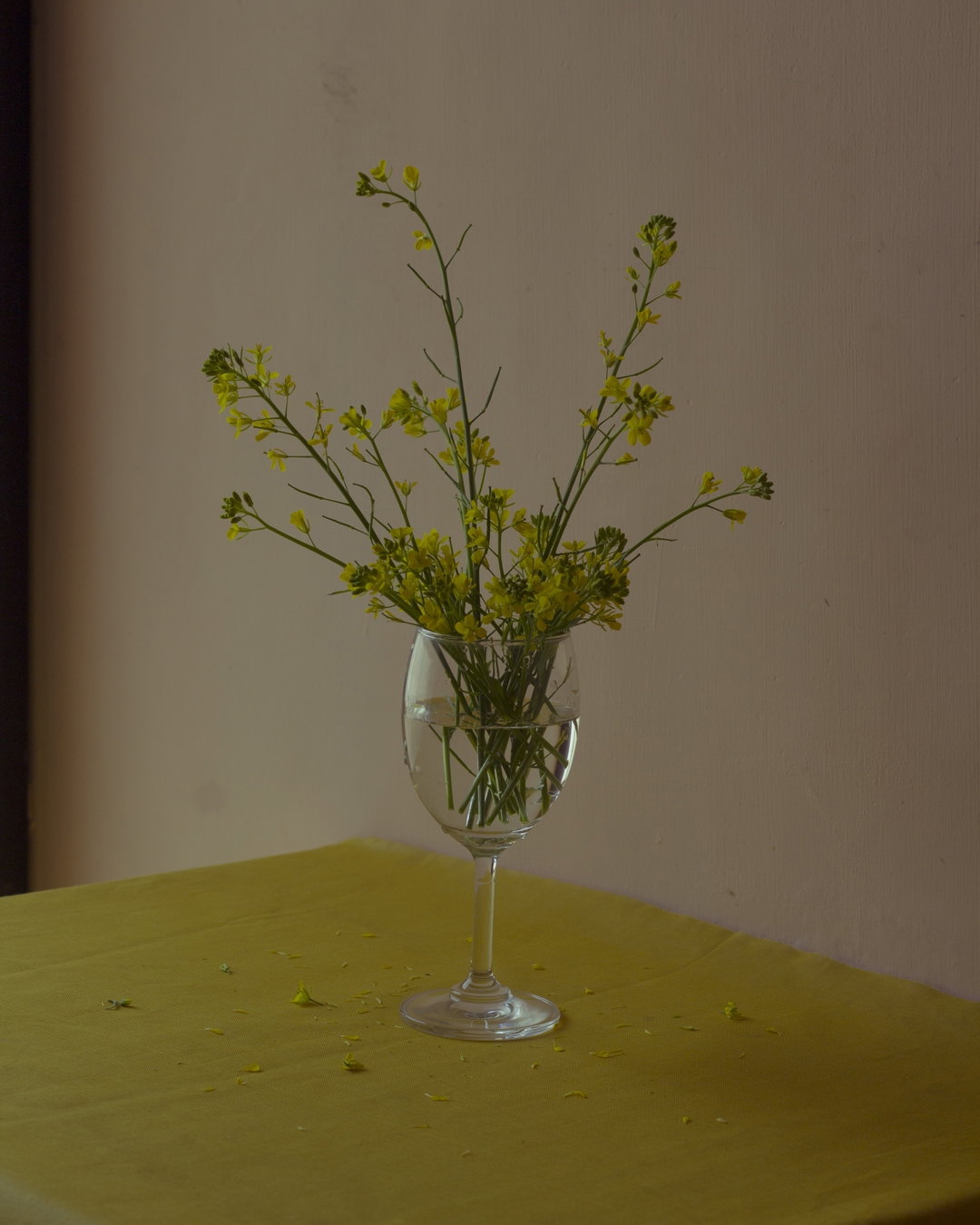 itsnicethat-Imdad Barbhuyan-6__Mustard blossoms from her garden_.jpg