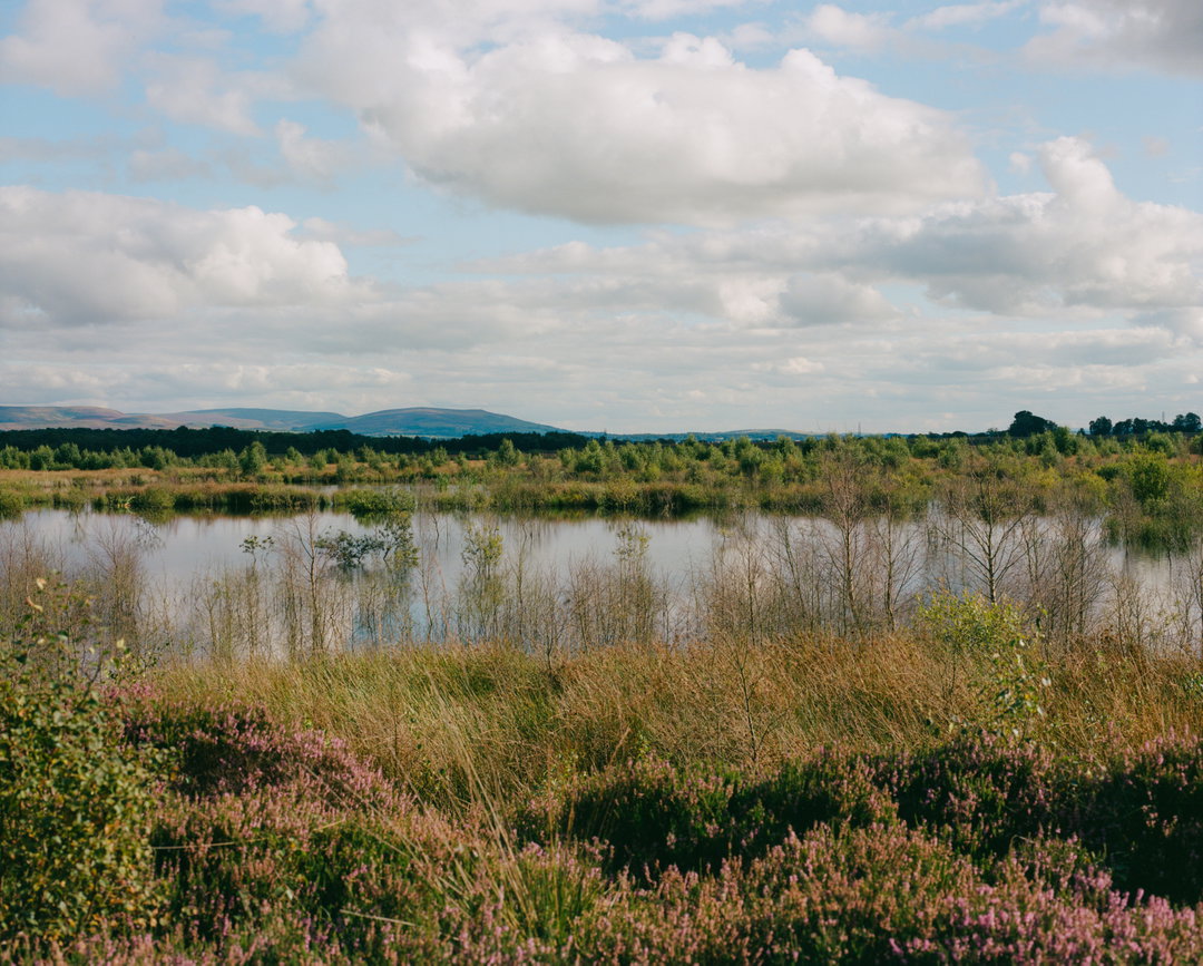 itsnicethat-JULIET_KLOTTRUP__©_2022MOSS_OF_MANY_LAYERS.jpg