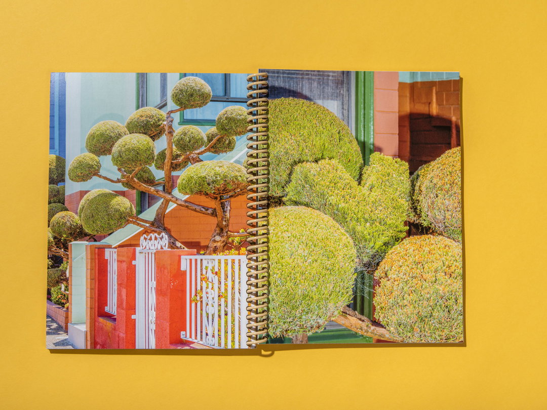 itsnicethat-Kelsey-McClellan-20210505_IFTHISISNTNICE_Book-022.jpg