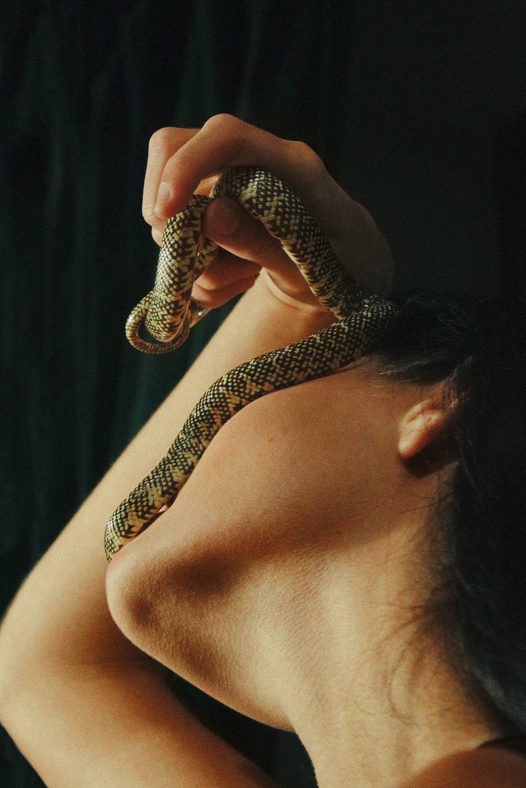 itsnicethat-Snake-leo-xander.JPG