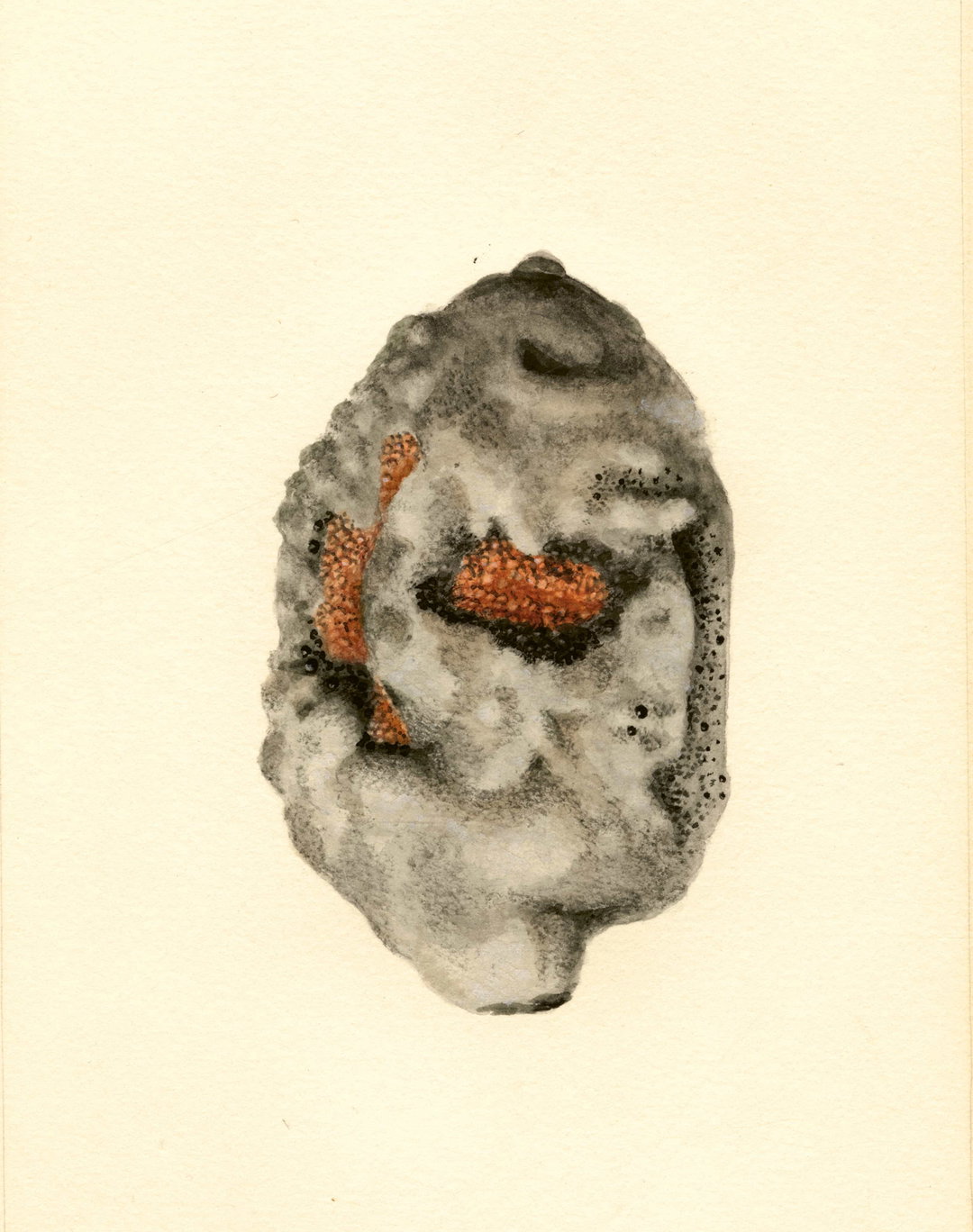itsnicethat_An Illustrated Catalogue of American Fruits & Nuts_POM00006810-lowres.jpg