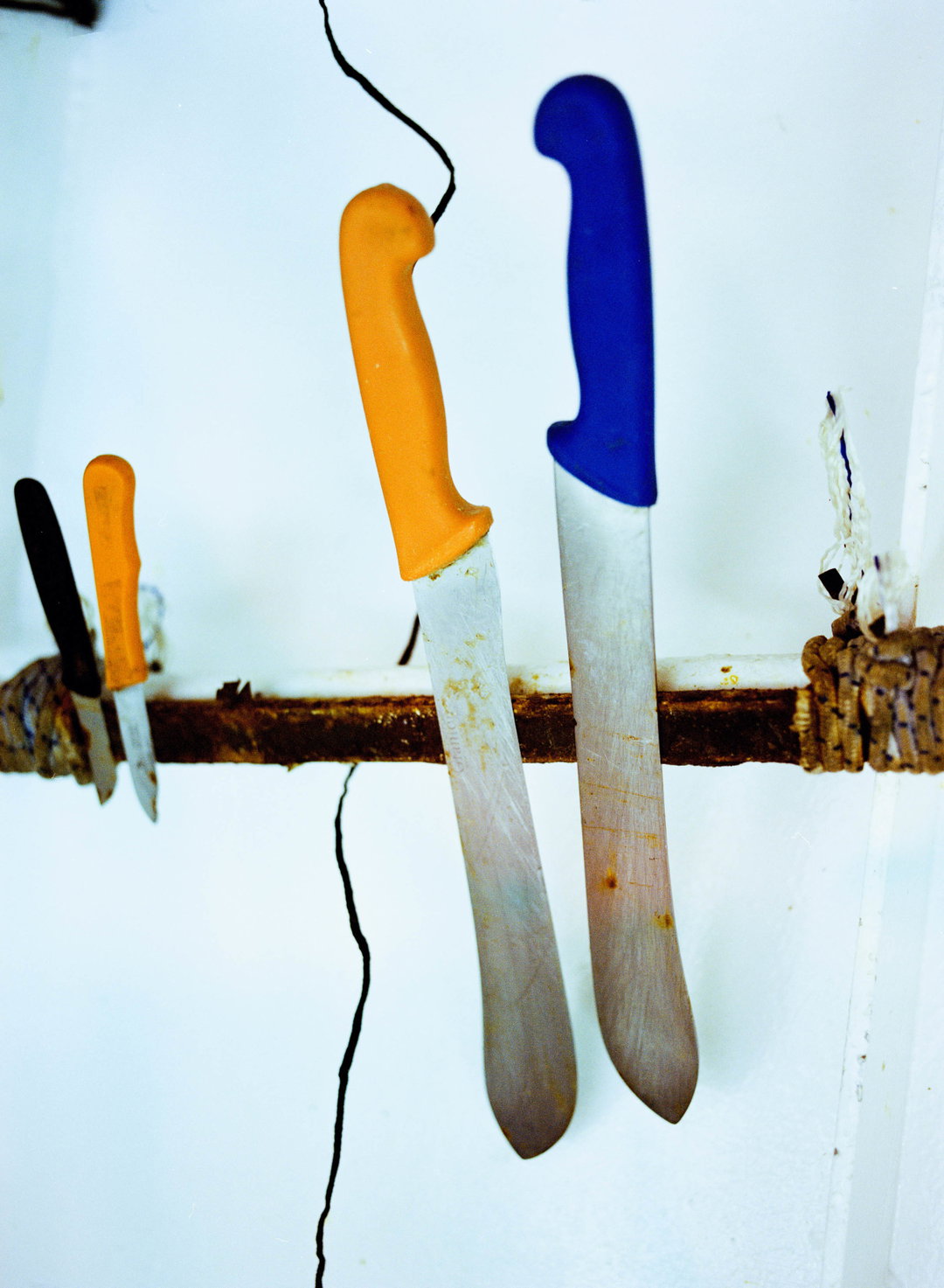 izzy-schreiber-from-the-sea-photography-itsnicethat-03.jpg