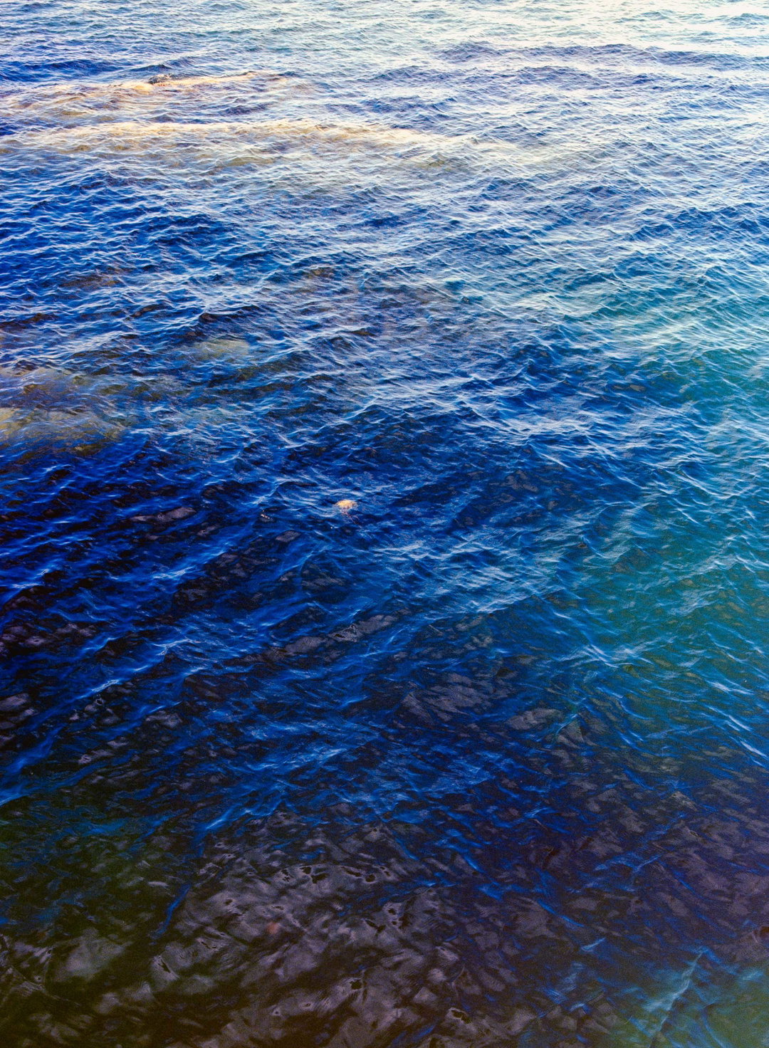 izzy-schreiber-from-the-sea-photography-itsnicethat-04.jpg
