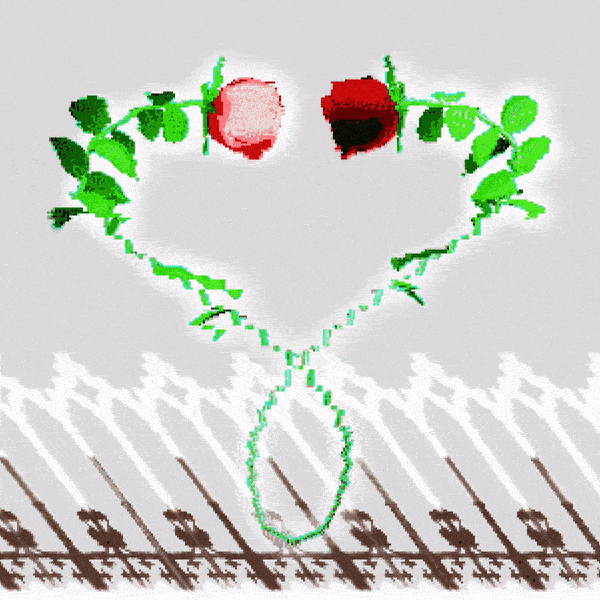 james-marshall-graphic-design-itsnicethat-1.gif