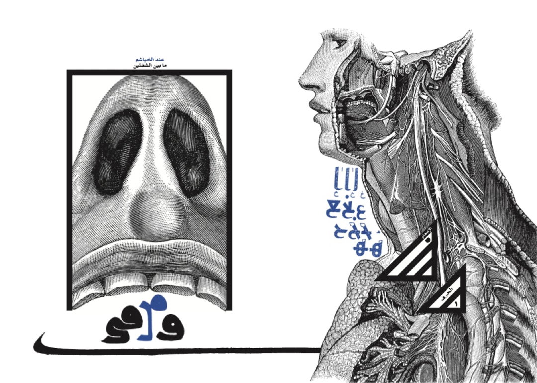 kitaabelhawamesh-janatraboulsi-illustration-itsnicethat