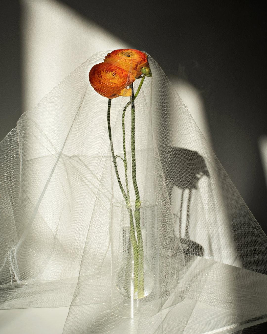 jasmine-clark-work-photogrphy-itsnicethat-03.jpg