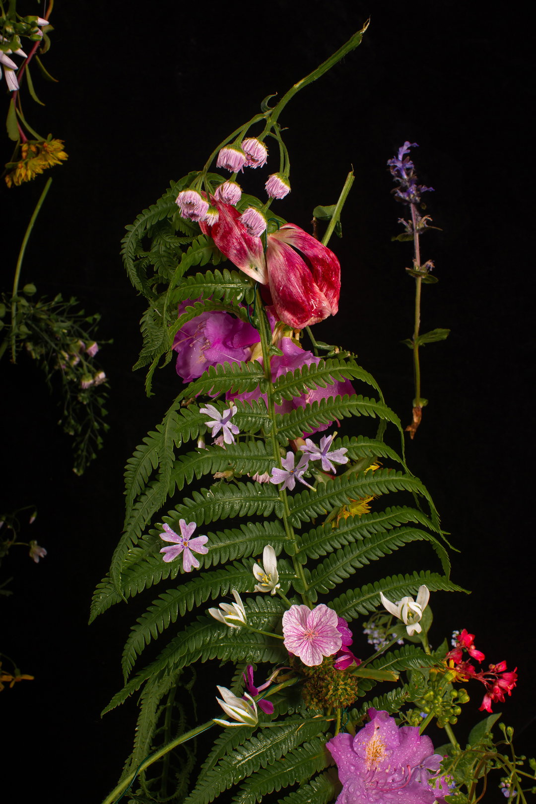 jiahao-peng-photography-itsnicethat-12.jpg