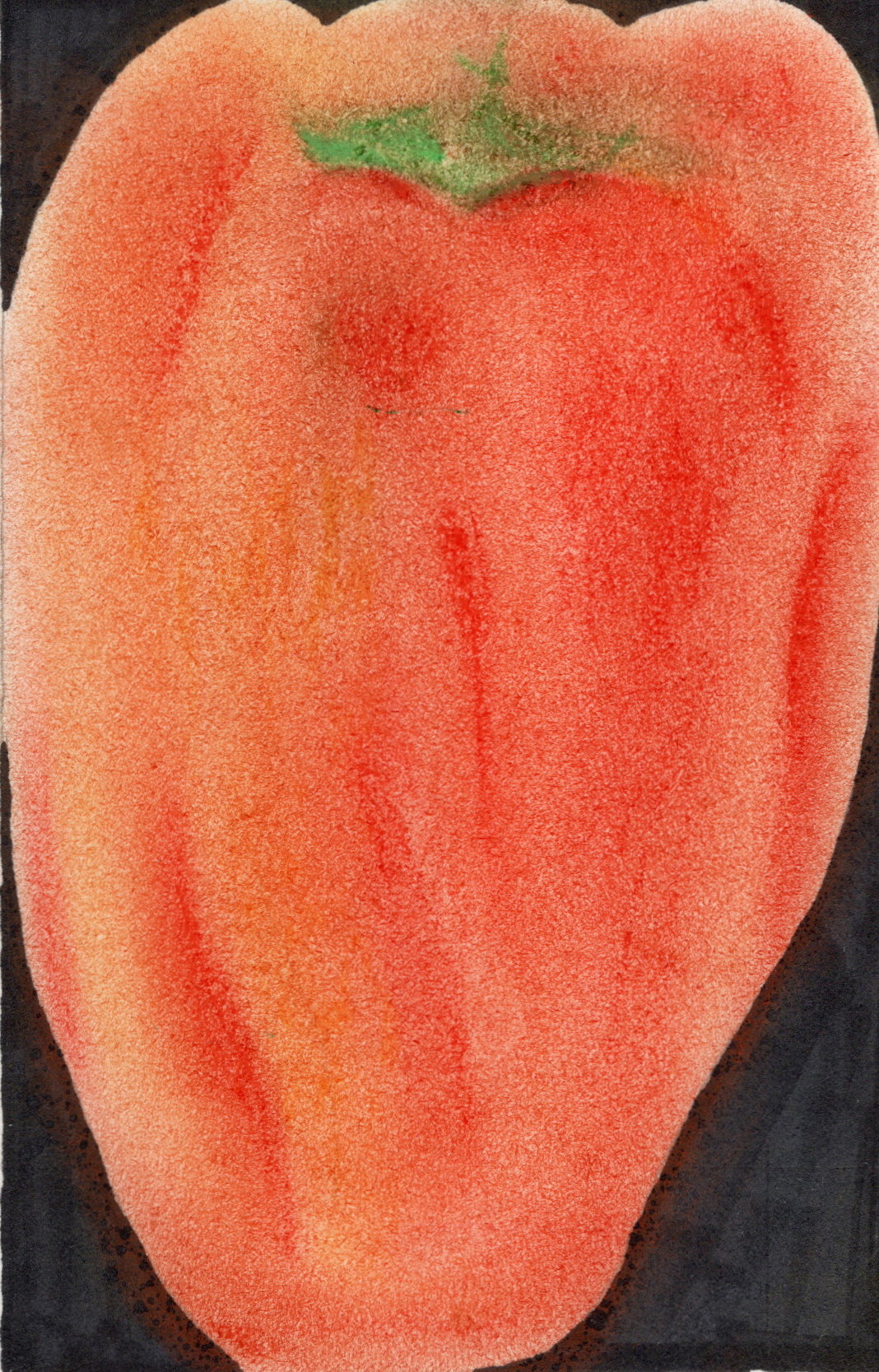 jiyung-lee-work-illustration-itsnicethat-09.jpg