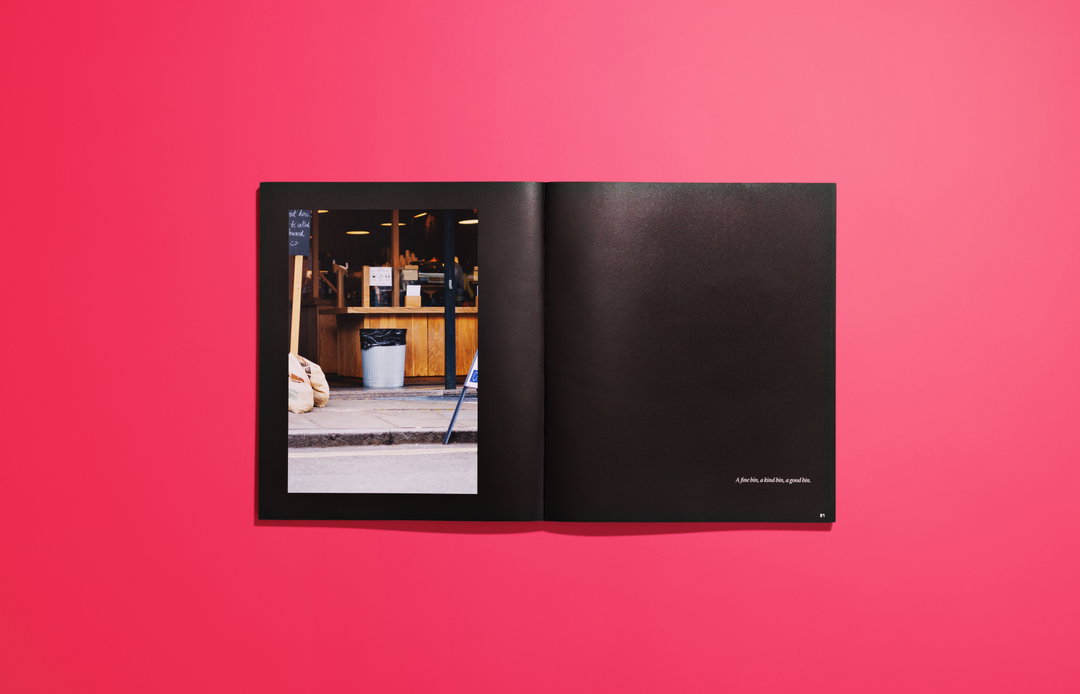 joe-lycett-bins-bins-bins-publication-itsnicethat-21.jpeg