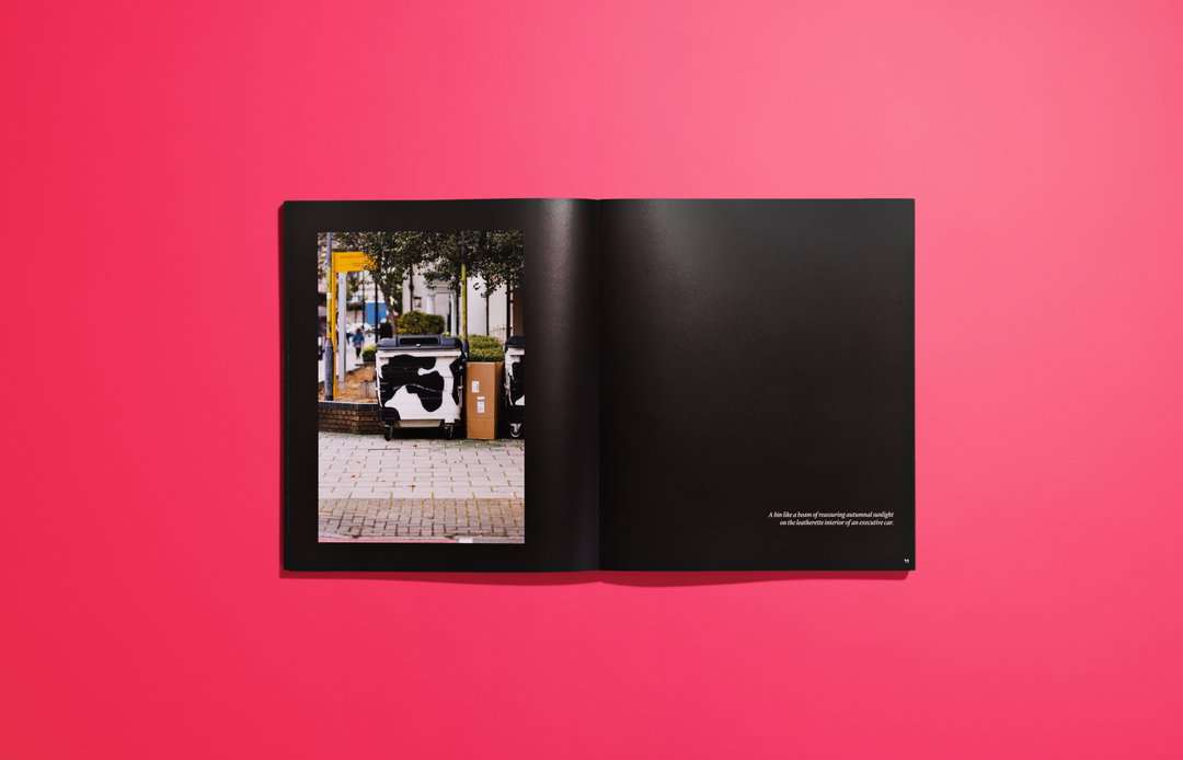 joe-lycett-bins-bins-bins-publication-itsnicethat-38.jpeg